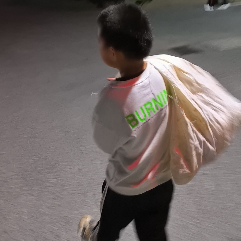 蚂蚁
