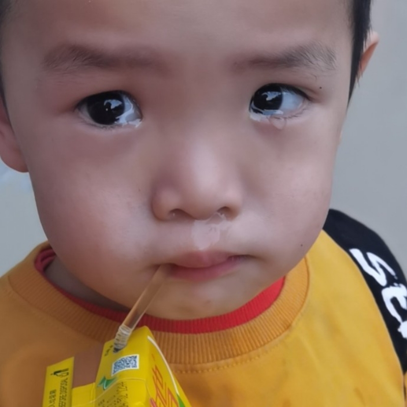鱼仔