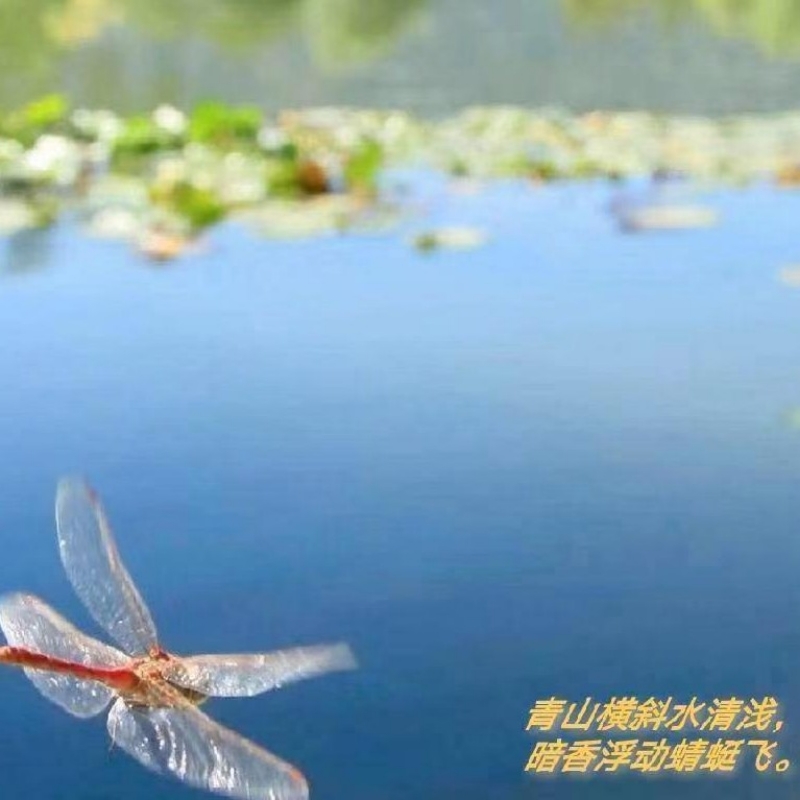 天书在人间