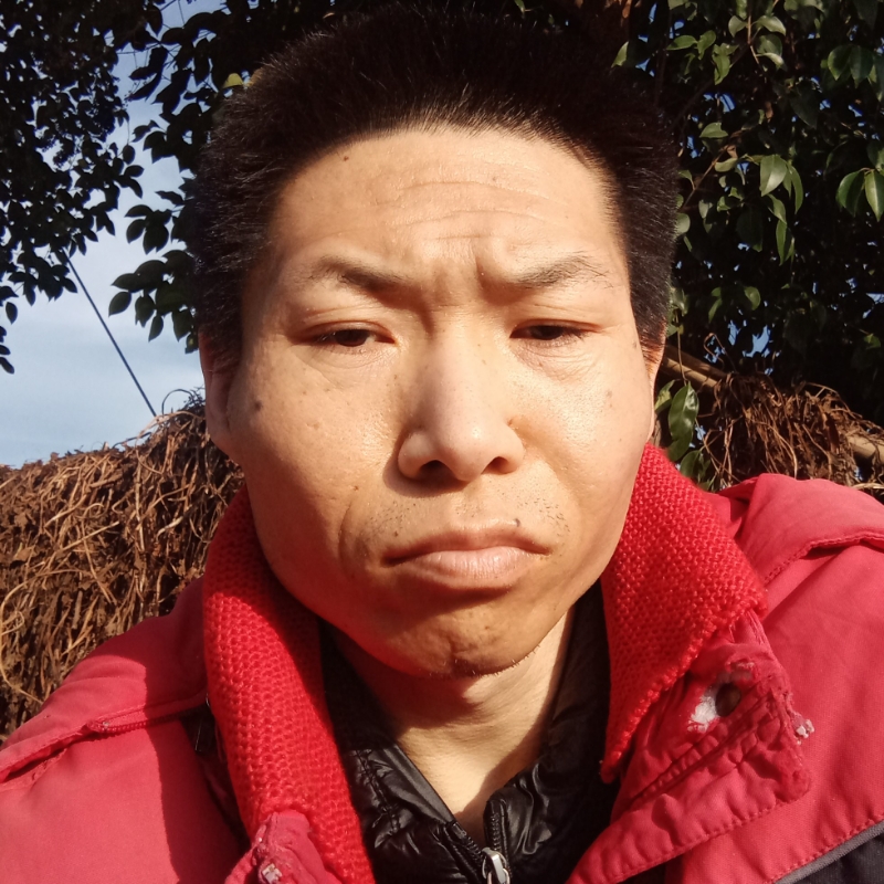 李根
