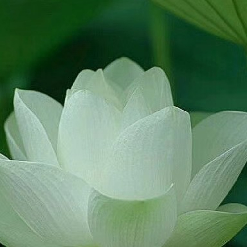 怡情