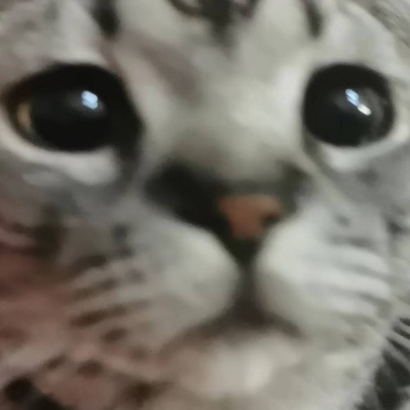 2818628107
