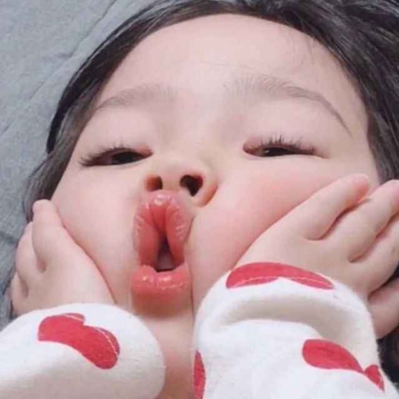 布丁