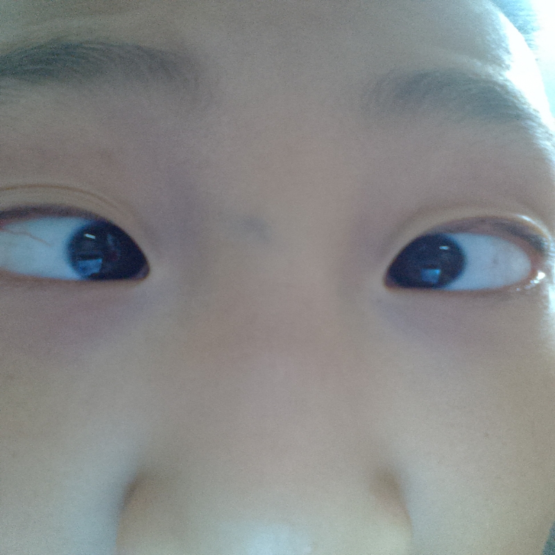 鹰眼小队