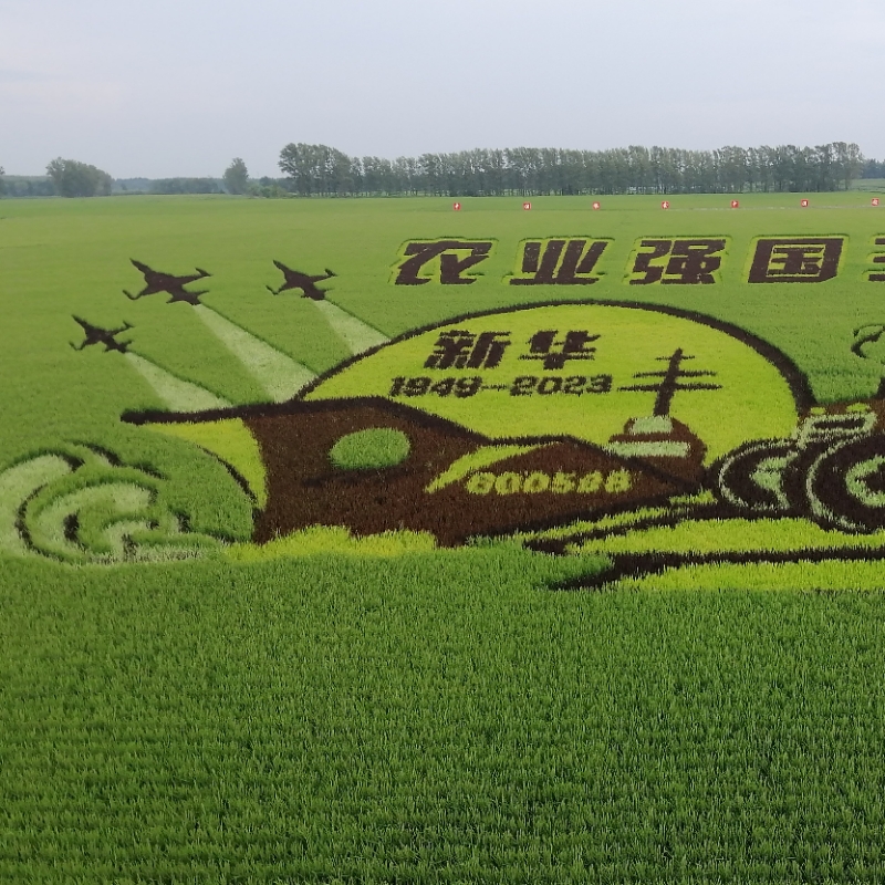 草原飘