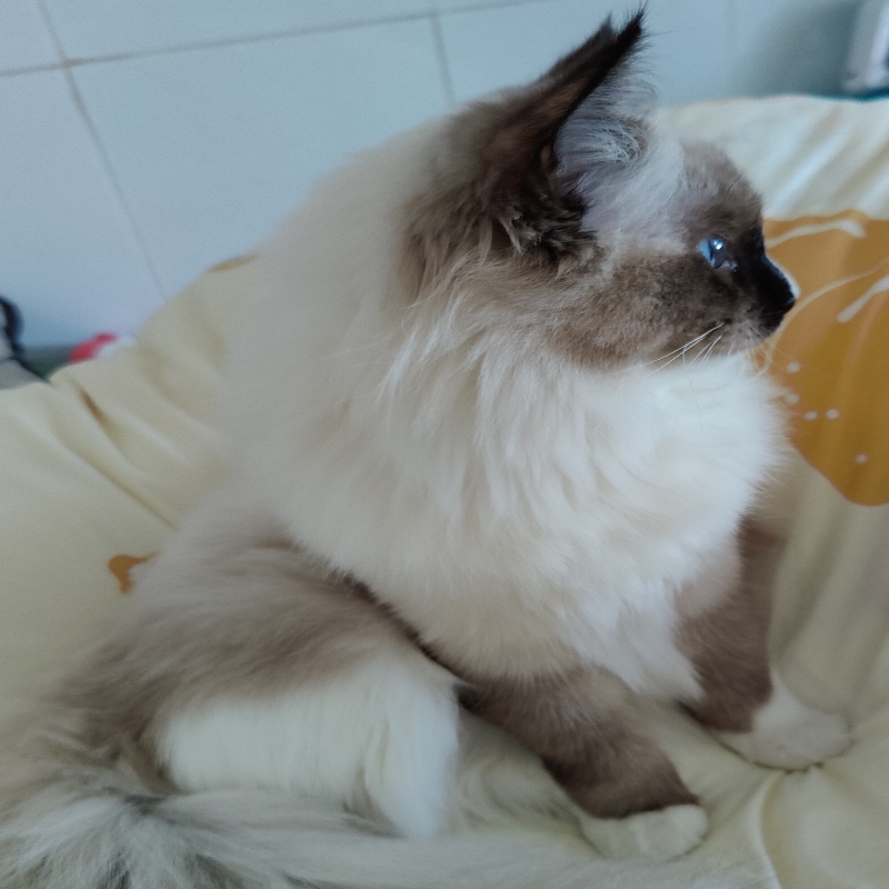 小沐☞