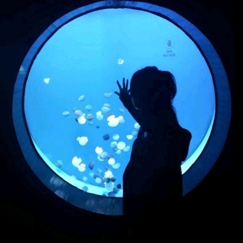 山核桃