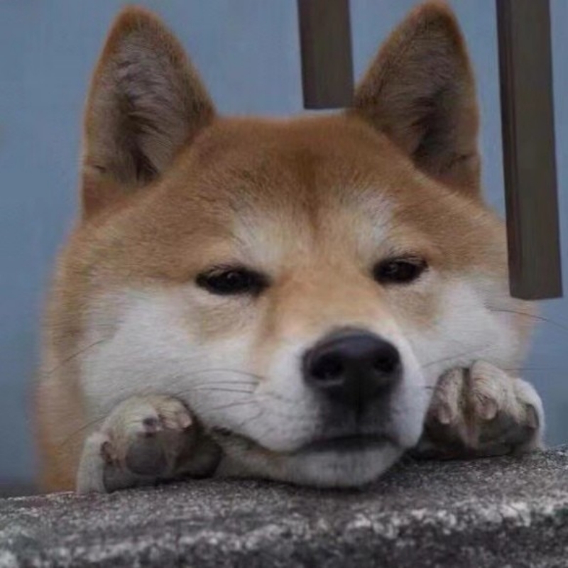 黑胡椒