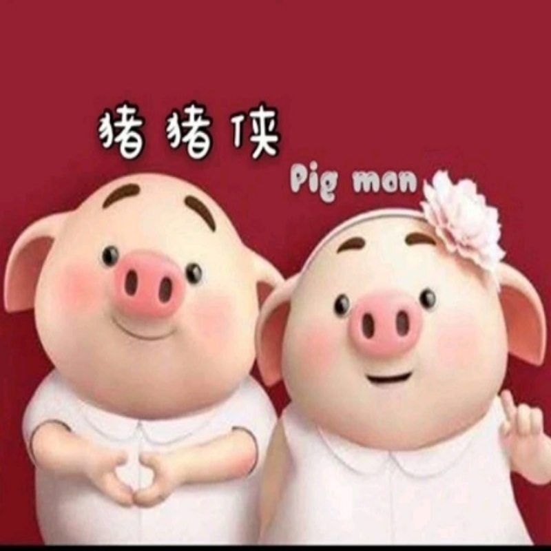 猪猪侠3958