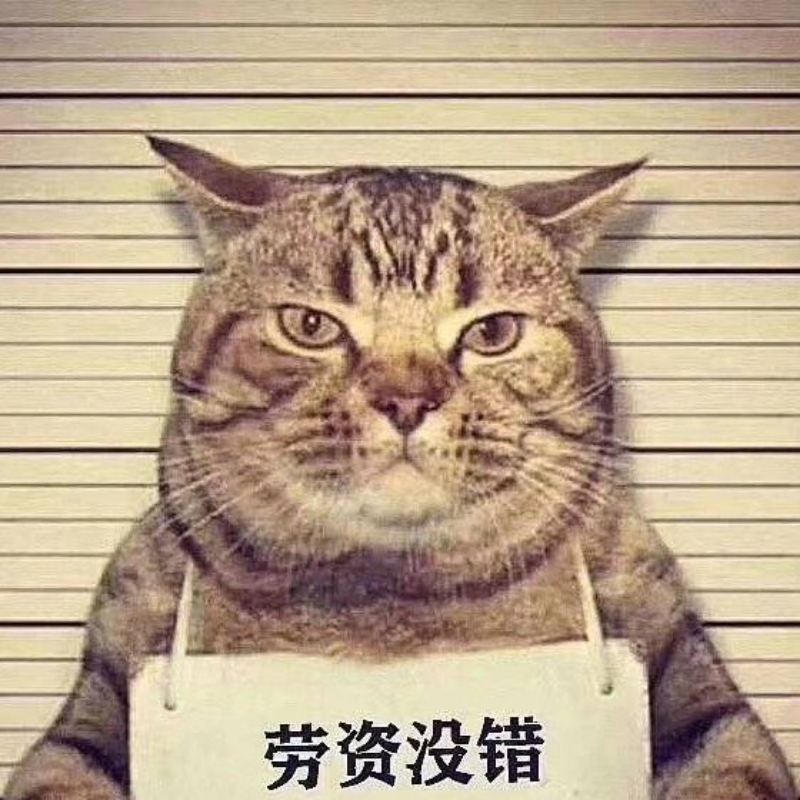 Catkkk