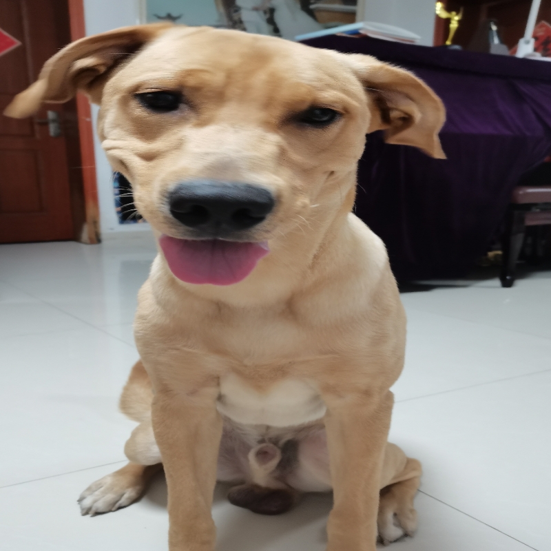 vera