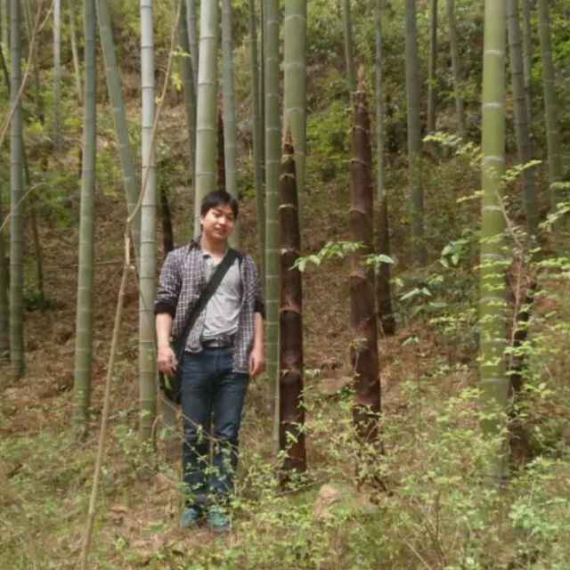 秦殇