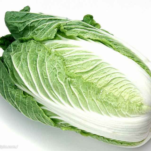 萝卜白菜