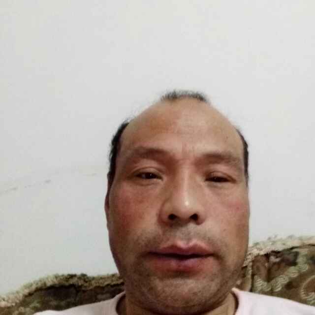 大灰狼