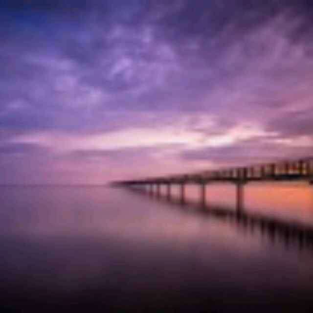智