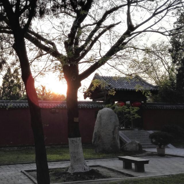 龚卫东