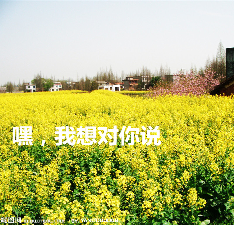 嘿，我想对你说