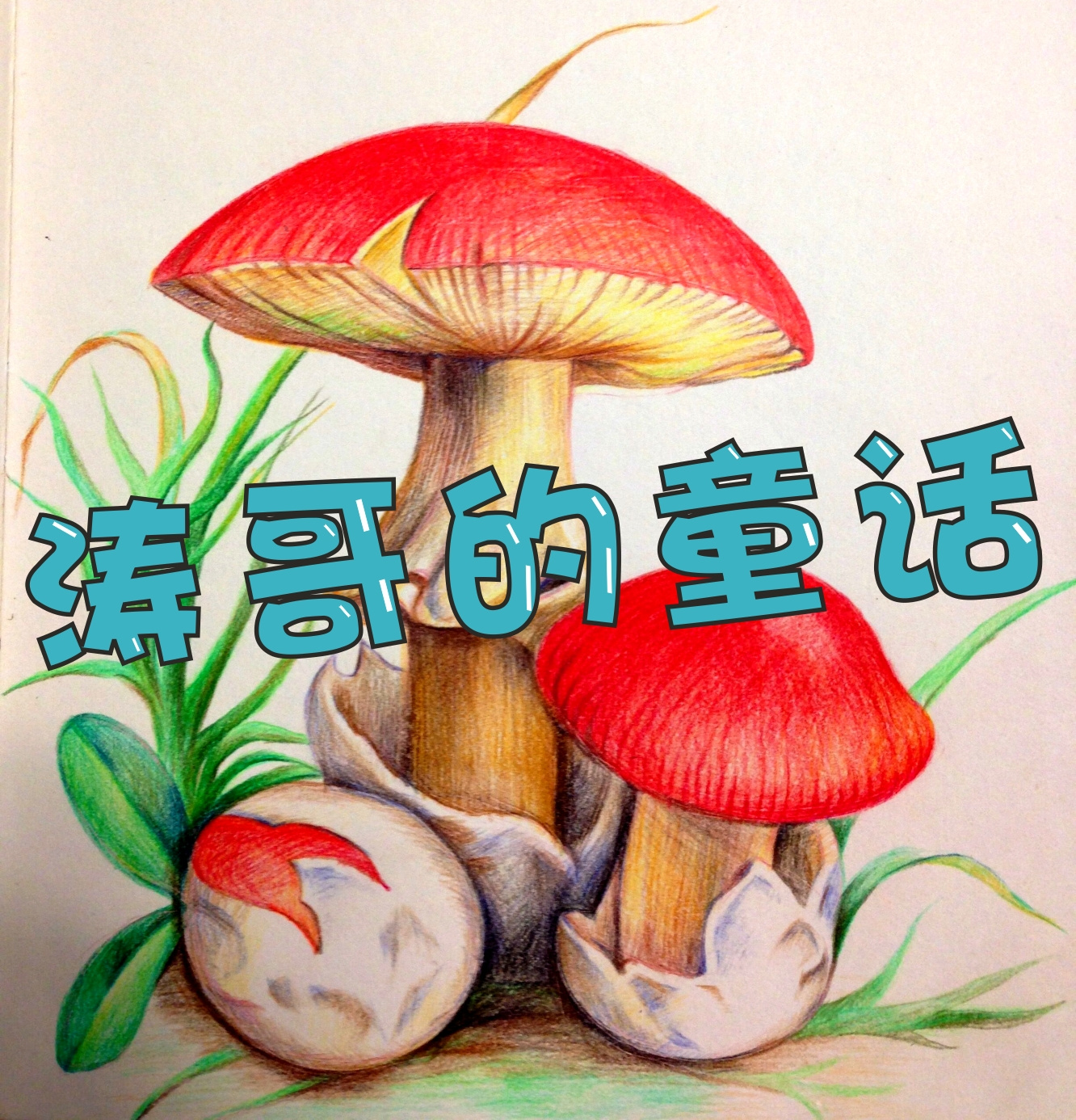 涛哥的童话