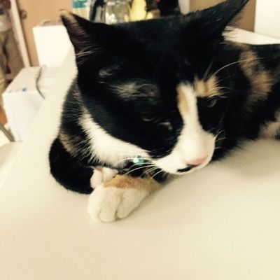 《YR主播展播台--民汉》