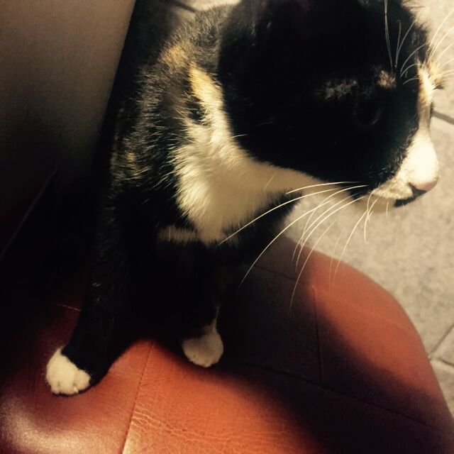 《YR主播展播台--小爽》