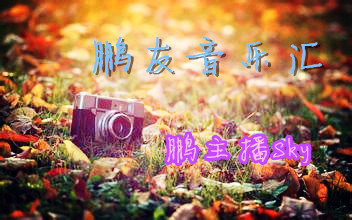 鹏友音乐汇