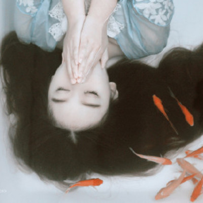 《大鱼缸之美文分享》