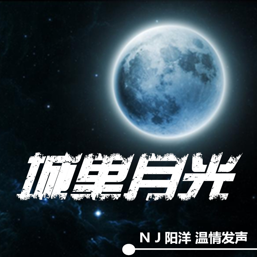 【城里月光】你我他网络电台