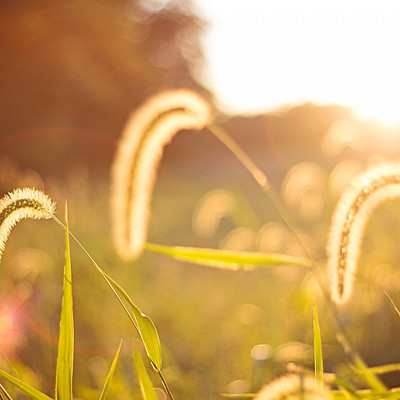 音浪部落-刀砍油条