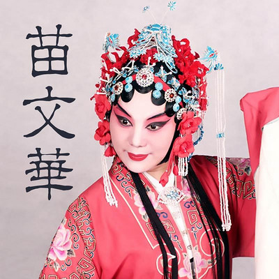 豫剧·苗文华 豫剧·苗文华