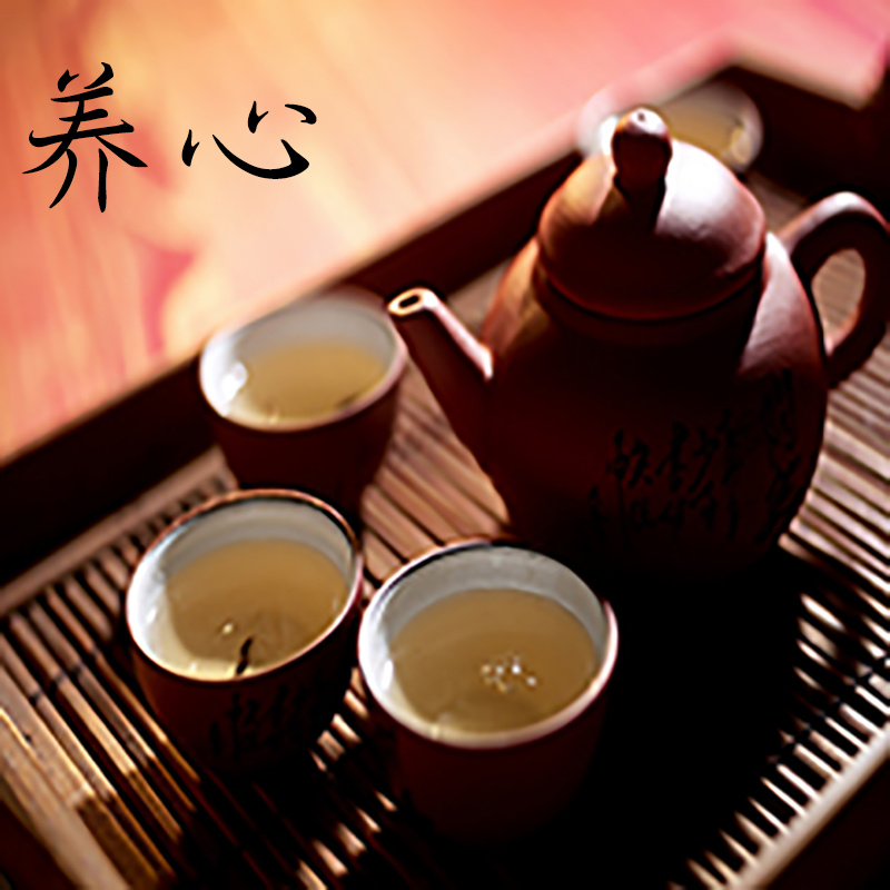 儒家养心课