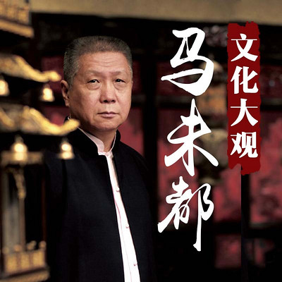 马未都文化大观