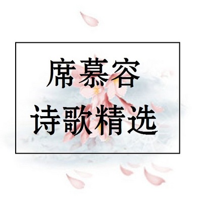 席慕容诗歌精选【大师级朗诵】