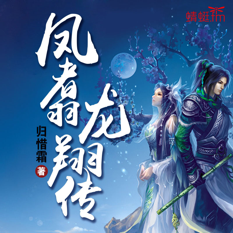 凤翥龙翔传