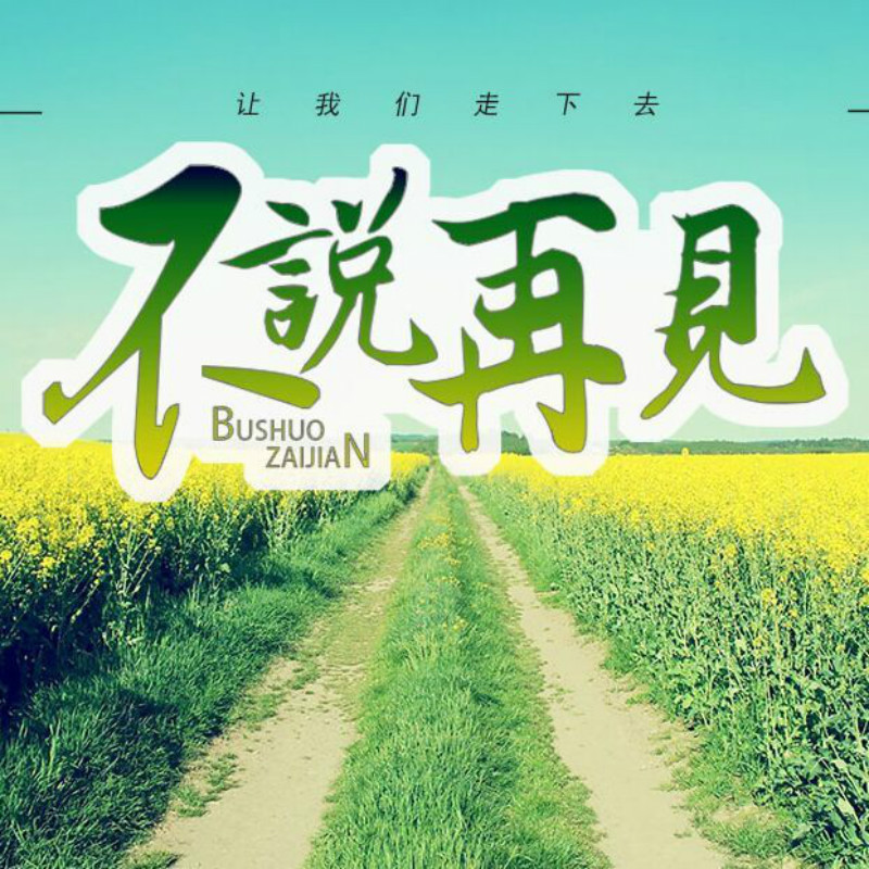 不说再见