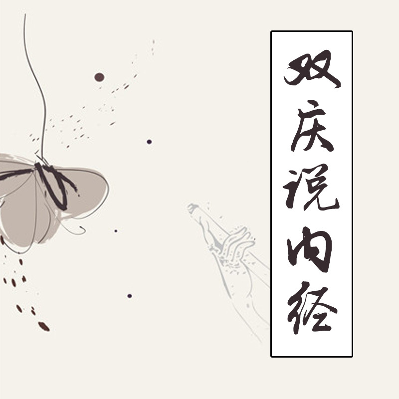 双庆说内经