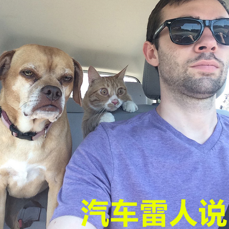 汽车雷人说