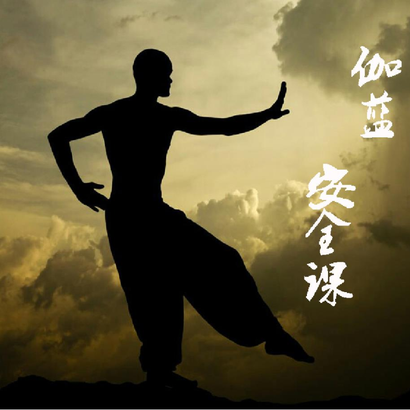 伽蓝安全课