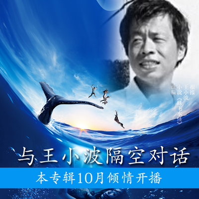 《与王小波隔空对话》