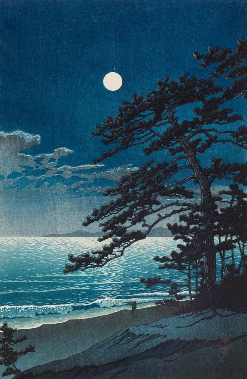 海鸥乔纳森