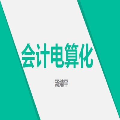 会计电算化 会计电算化