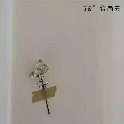 38°雷雨天|Nut·坚果电台 38°雷雨天|Nut·坚果电台