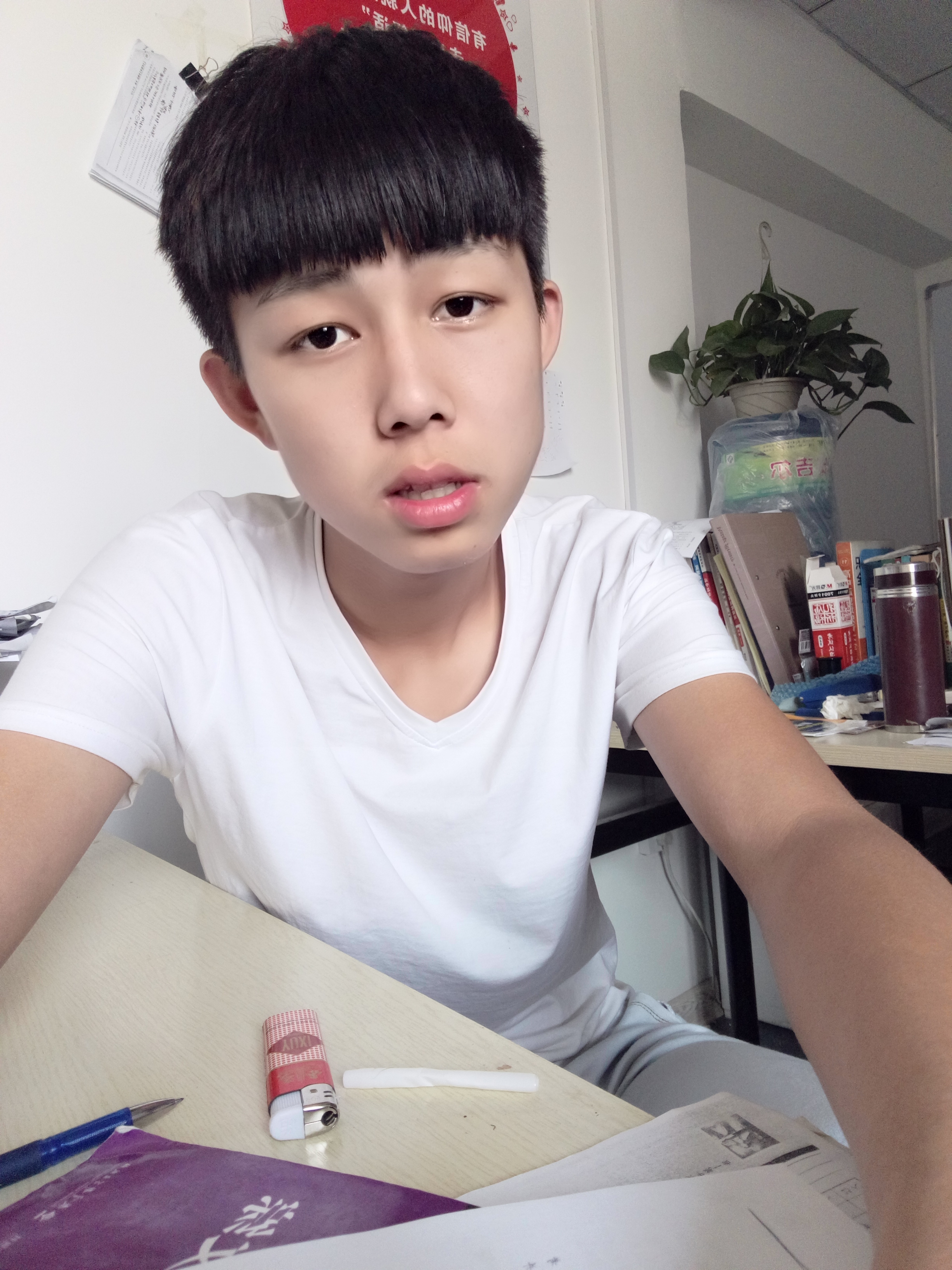 一只猴子的思想