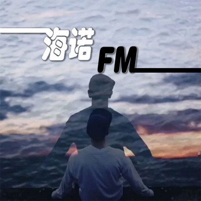 海诺FM