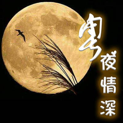 粤夜情深