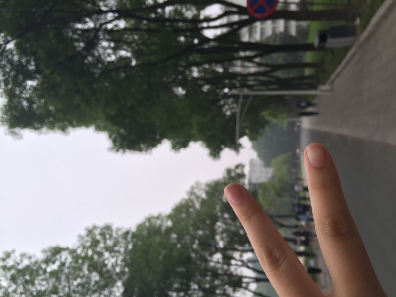梦的次元