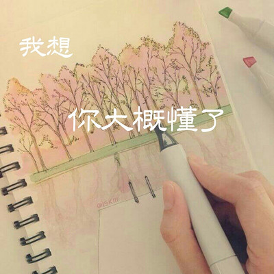 我想，你大概懂了