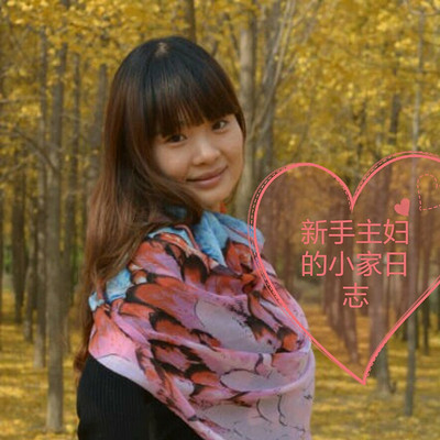 《新手主妇的小家日志》