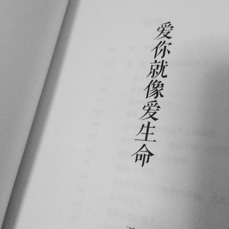 爱你就像爱生命