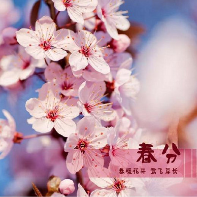 2017年春分节目—春雨如膏 2017年春分节目—春雨如膏