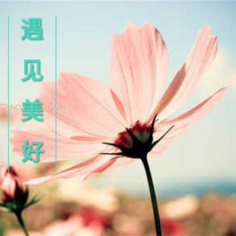 遇见美好